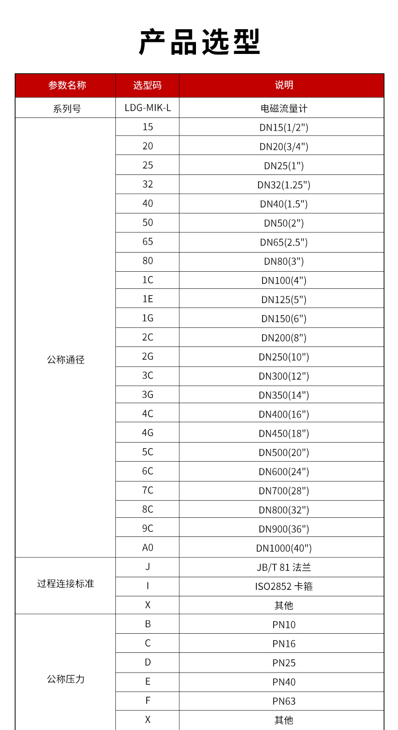 LDG-MIK-L电磁流量计(QT)_01.jpg